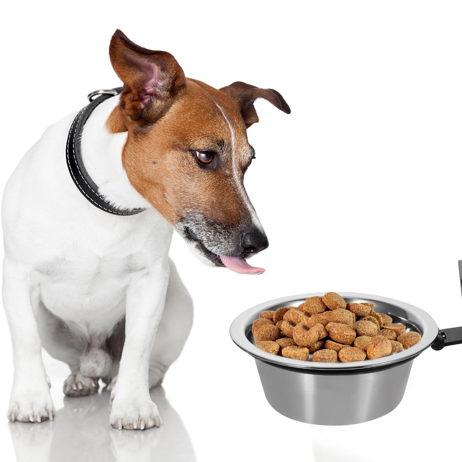 FRCOLOR 2 Juegos Cuenco Elevado para Perros montado en la Pared Accesorio para Mascotas comederos elevados para Gatos Cuencos para Gatos Cuencos para Perros tazón de Gato