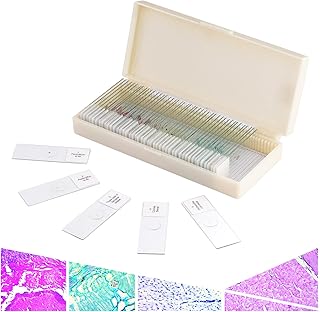 50Pcs Prepared Microscope Slides Set Professional Grade Specimens for Basic Biological Science Education and Kids Student Homeschool Use with Plastic Storage Box and List