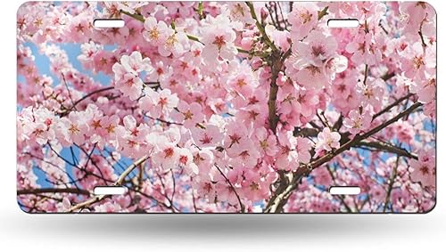 Miniatura 11 de Placa de Matrícula Delantera de Aluminio Retro de Dos Dedos Paz Amor Alegría, Placas de Matrícula Decorativas Divertidas de Metal para Carro 6"X12",