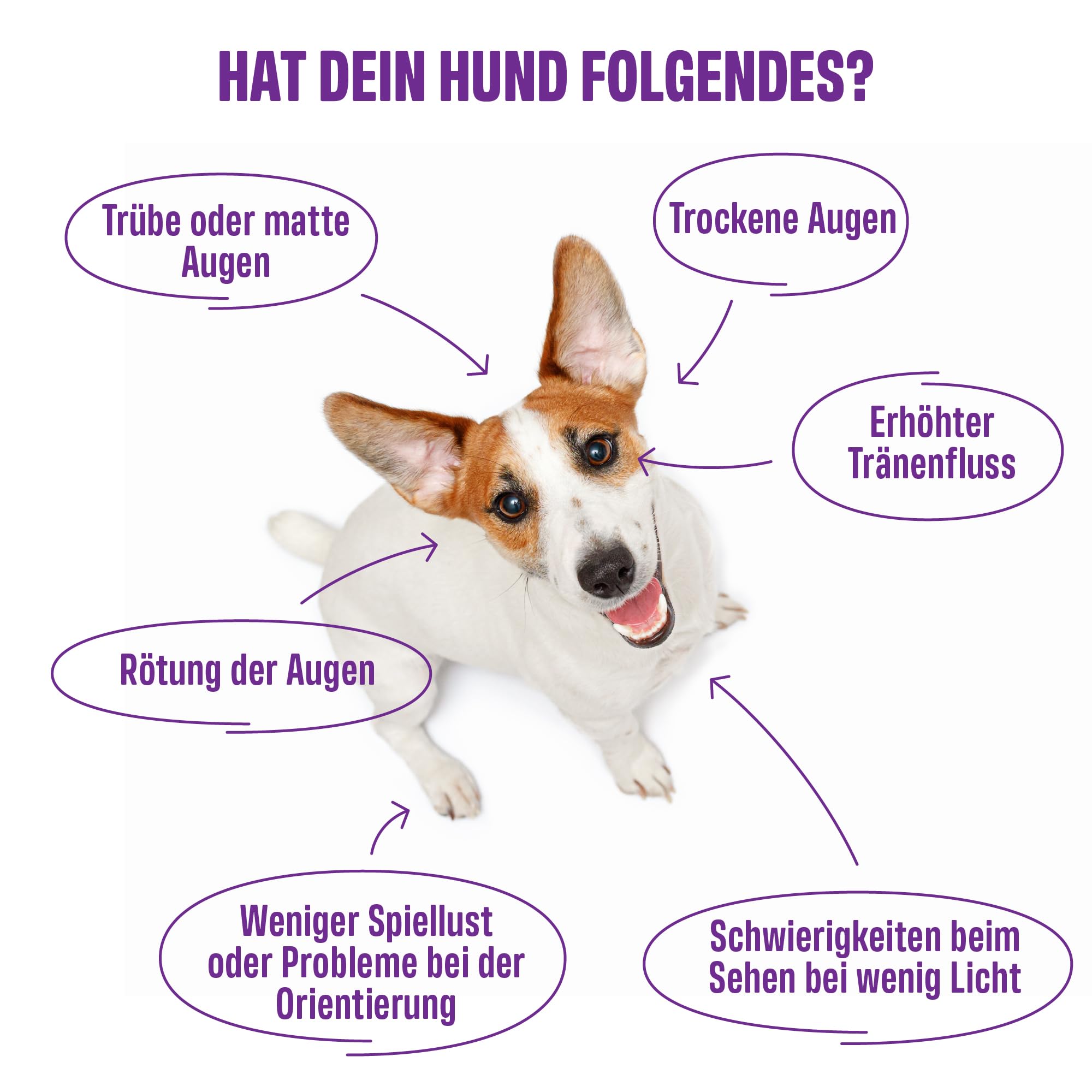 ivvi Vision – Augenpflege Snacks für Hunde | Mit DHA, Astaxanthin, Blaubeere & Augentrost | Unterstützt Augenkomfort & Netzhaut | 60 weiche Snacks (270 g)
