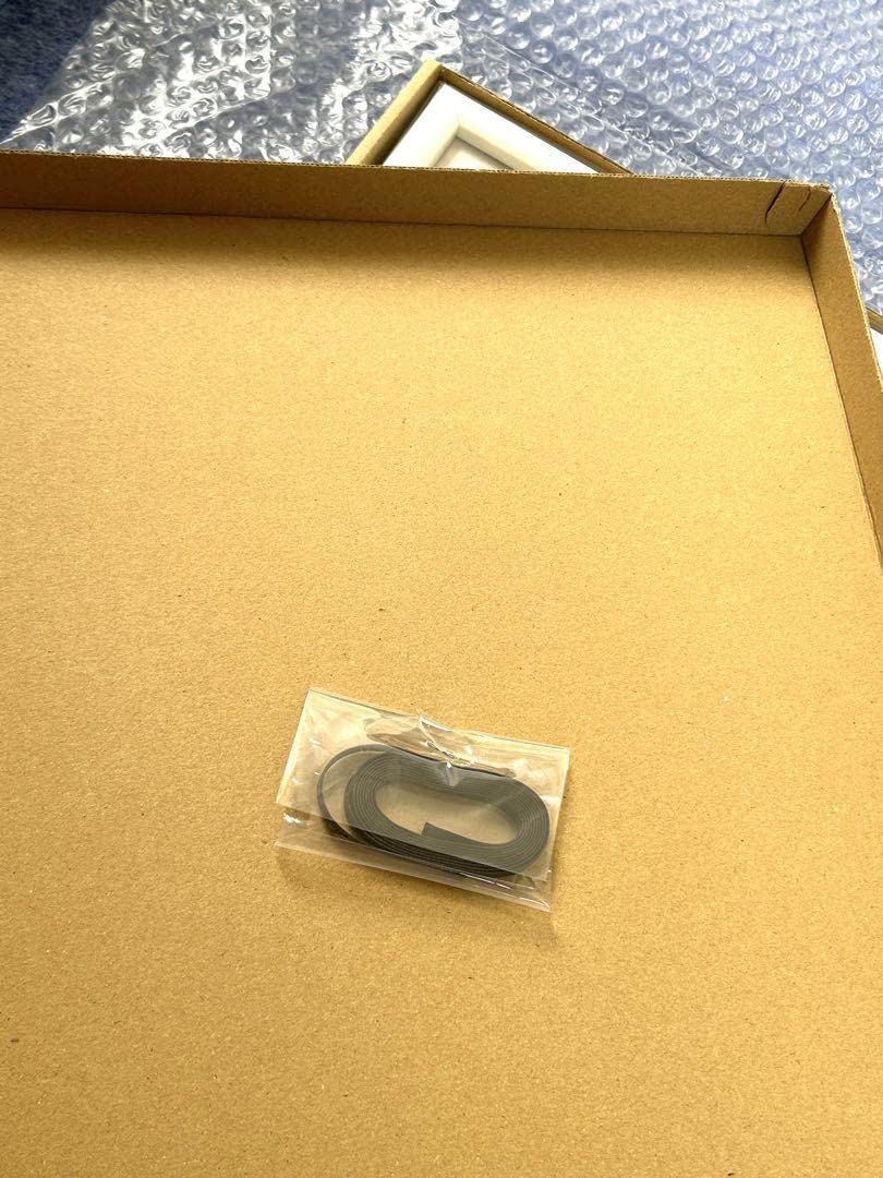 Amazon.co.jp: 受注生産 桂正和 A4キャラファイングラフ