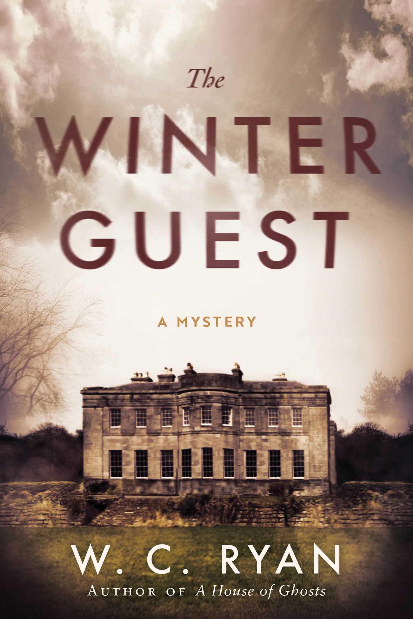 Buy The Winter Guest: A Mystery — BookShops.in