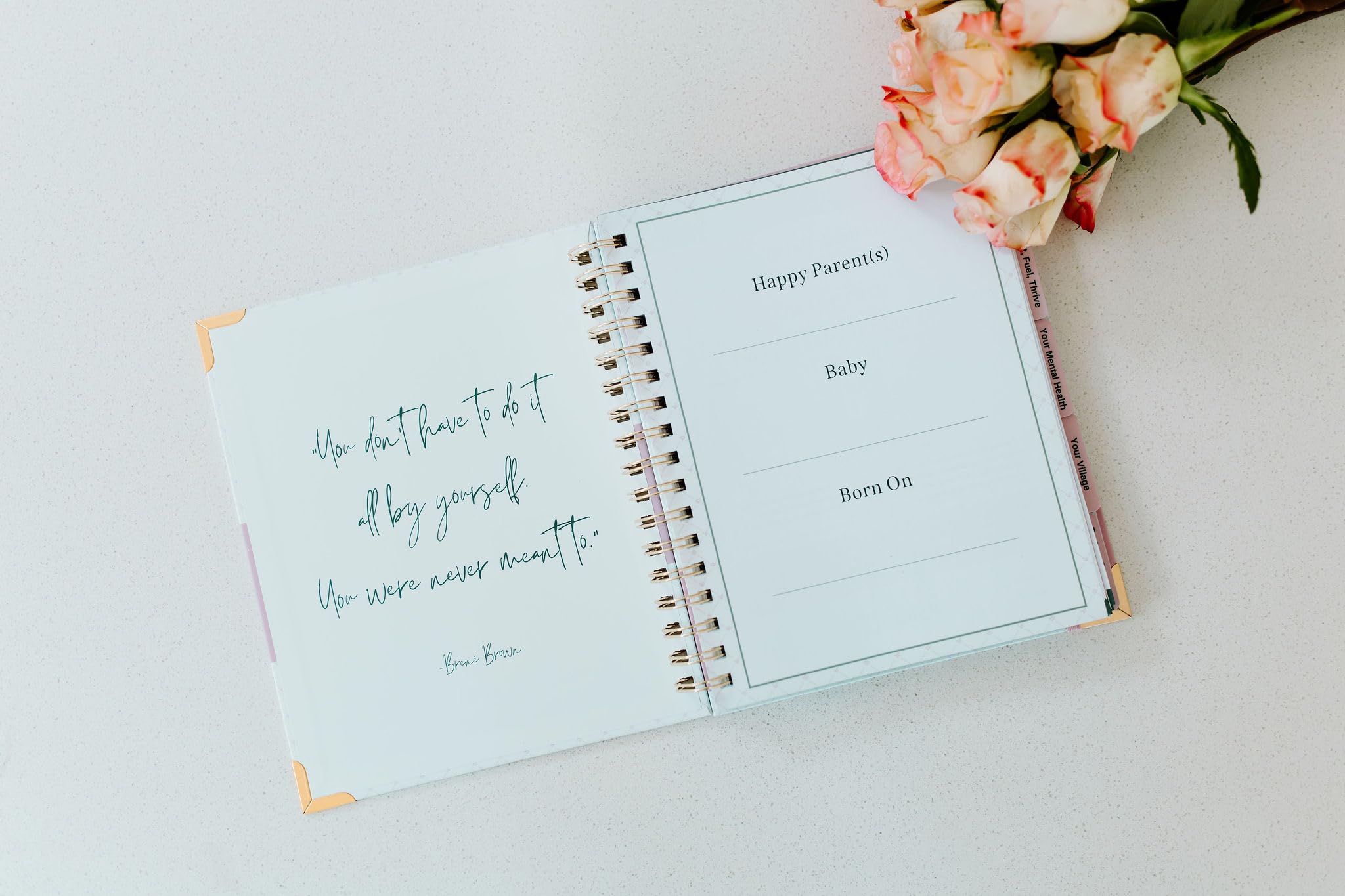 The Postpartum Playbook - Recovery & Self-Care Guide for New Moms | Praktische, urteilsfreie Hilfe zur Heilung nach der Geburt - von Undefining Motherhood