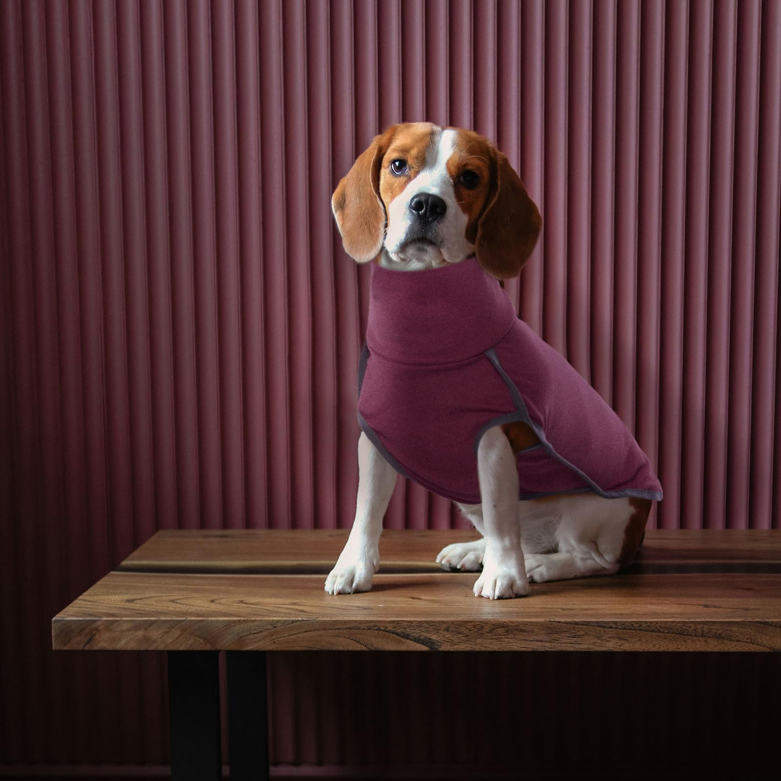ROZKITCH Felpe per cani di piccola taglia, gilet invernale per cani di piccola taglia, maglione a collo alto elastico, maglietta leggera per cani di piccola e grande taglia, rosso, S