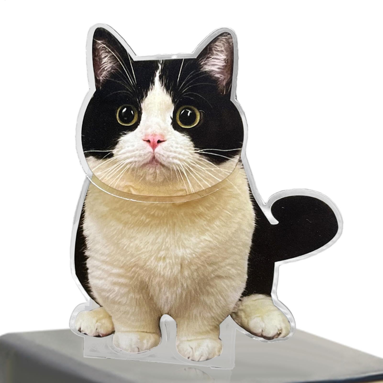 Eoixuqba Car Bobblehead Cat - Cartoon Desktop Ornament - Shaking Head Ornament for Car Dashboard, Acrylic Dashboard Decorations, Desktop Decor