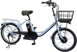 【100％完成車納品】 PELTECH(