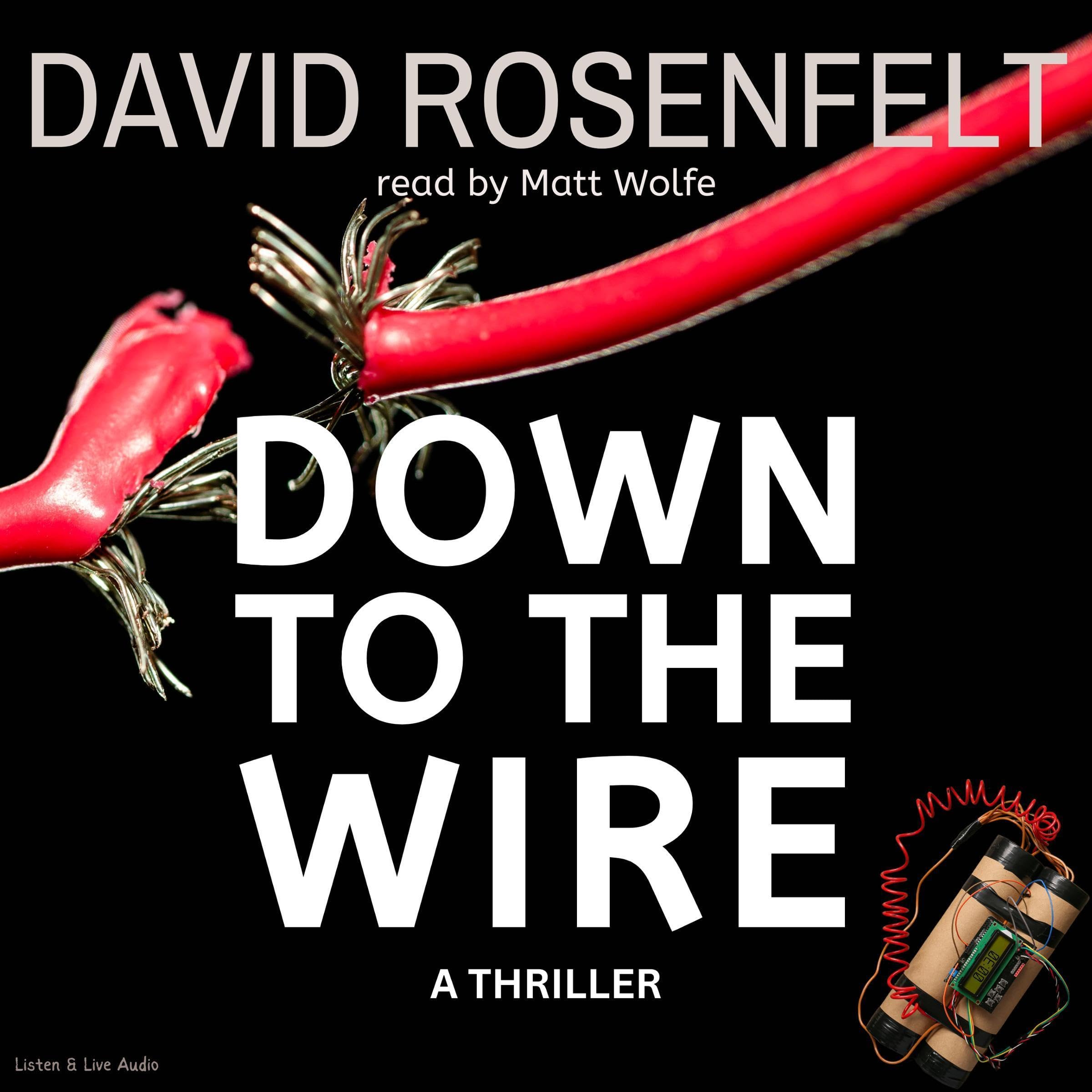 Cover art for Down to the Wire