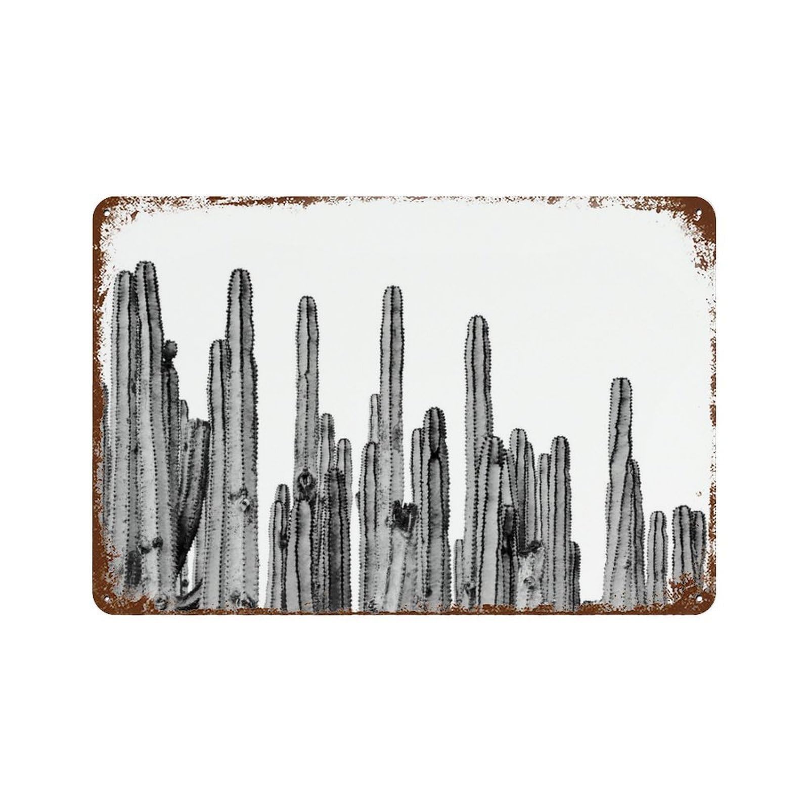xiaoxiaoshen Cactus Prints, Botanical Photography, Cacti, Gallery, Succulents,(2) Wall Decor Art Metal Tin Poster Modern Home Decor Art Home Bar Shop Decorations Vintage Sign 20x30cm