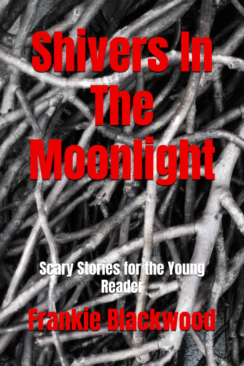 Shivers In The Moonlight: Scary Stories for the Young Reader