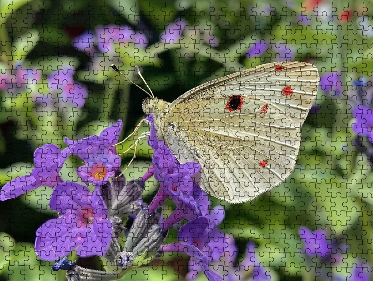Puzzle 4000 elementów, kwiat motyl puzzle dla dorosłych gra edukacyjna puzzle dla dorosłych, zabawne, wymagające zajęcia rodzinne, do dekoracji ścian, prezenty R1KH-387