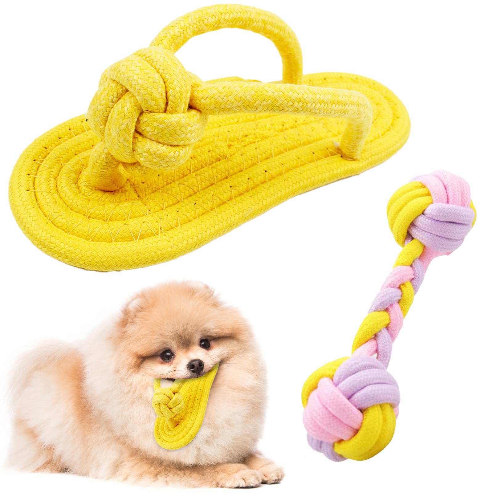 Amazon | CANPLUS 2パック 犬 おもちゃ 人気 ボール スリッパ 犬の