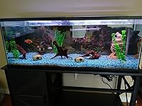 Review Image by Paul Smith Paul Smith