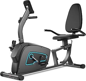 BODIOO Recumbent Exercise Bike