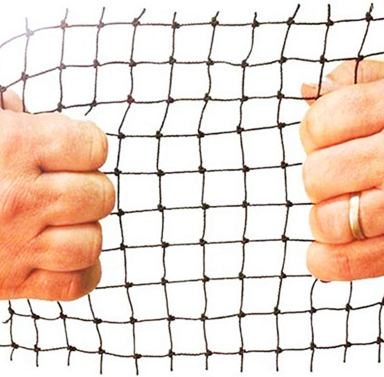 DEBARK 25' X 50' Bird Netting [Heavy Duty] Poultry Netting Protect Plants and Fruit Trees Garden Net 1" Square Mesh Size (25' x 50'-1") : Patio, Lawn & Garden