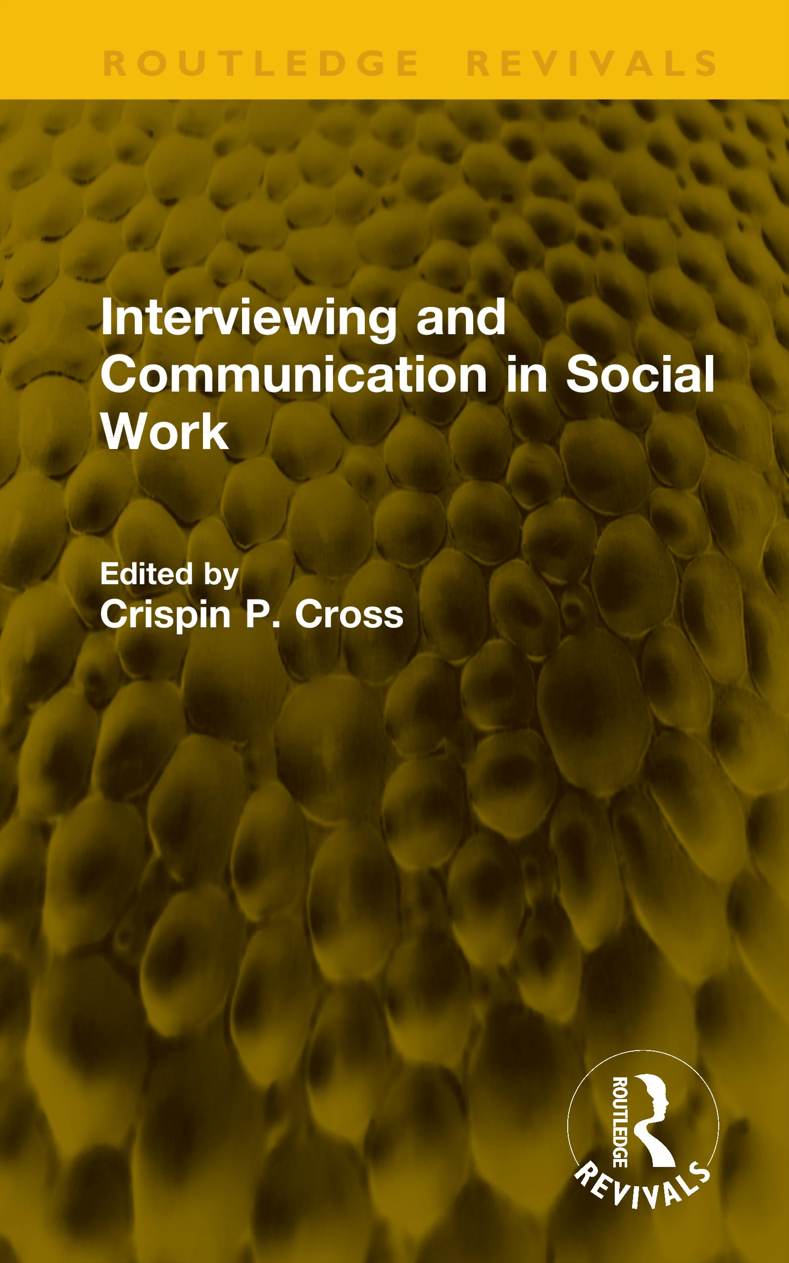 Interviewing and Communication in Social Work (Routledge Revivals)