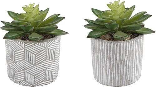 Flora Bunda Juego de 2 plantas artificiales de mediados de siglo, suculentas artificiales en maceta de cemento de 3 pulgadas, maceta gris, 2 plantas