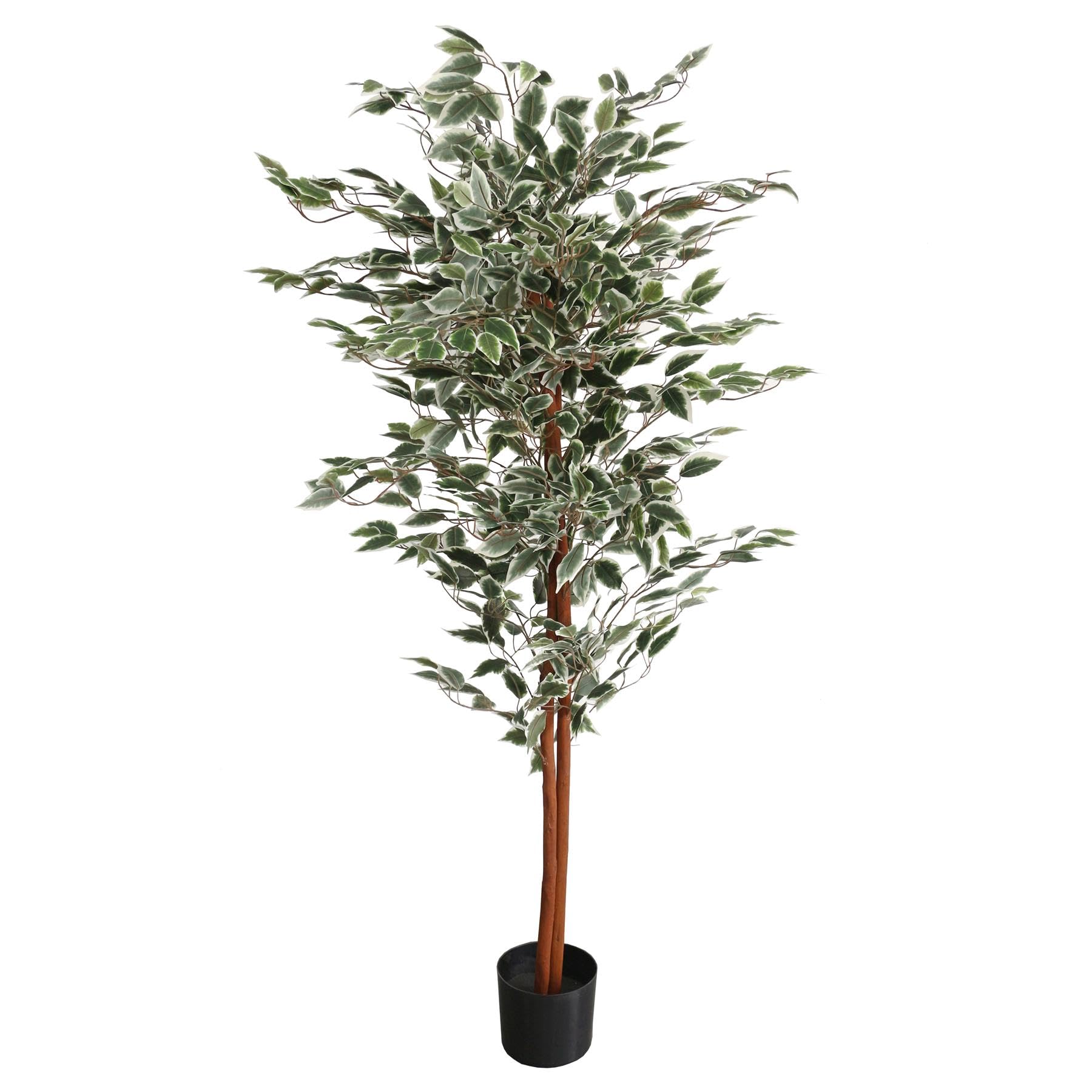 Leaf Artificial Tree/Plant, 160cm Ficus Variegated, 160 cm