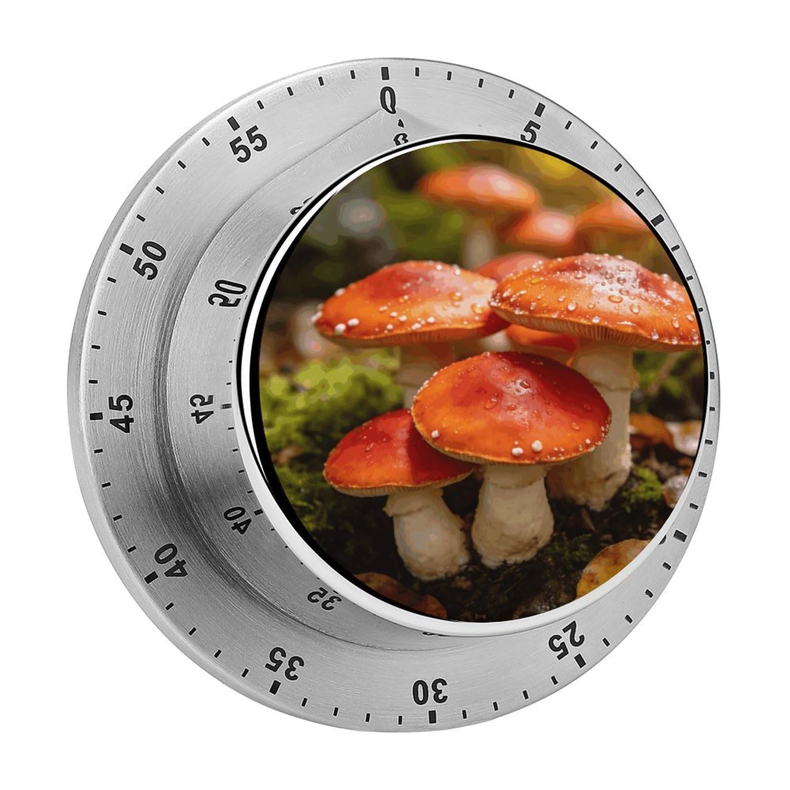 Happy Mushroom Timer Exquisite Stainless Steel Body Desk Visual Timer with Loud Alarm 60-Minute Mechanical Countdown Timers Magnetic Backing Cooking Kitchen Timers for Work