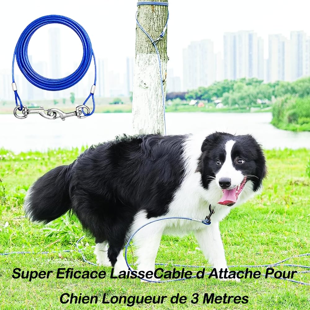 Cavo di fissaggio per cani 300 cm per cani forti | Cavo da corsa robusto per cani fino a 250 libbre | Linea di corsa per cani per esterni, cortile e campeggio