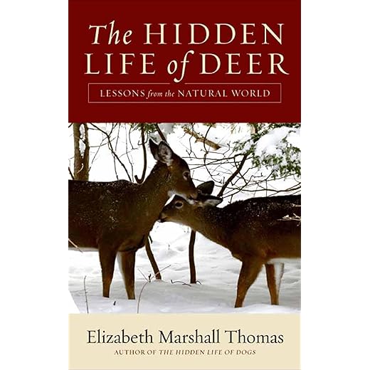 Lessons from the Hidden Life of Deer