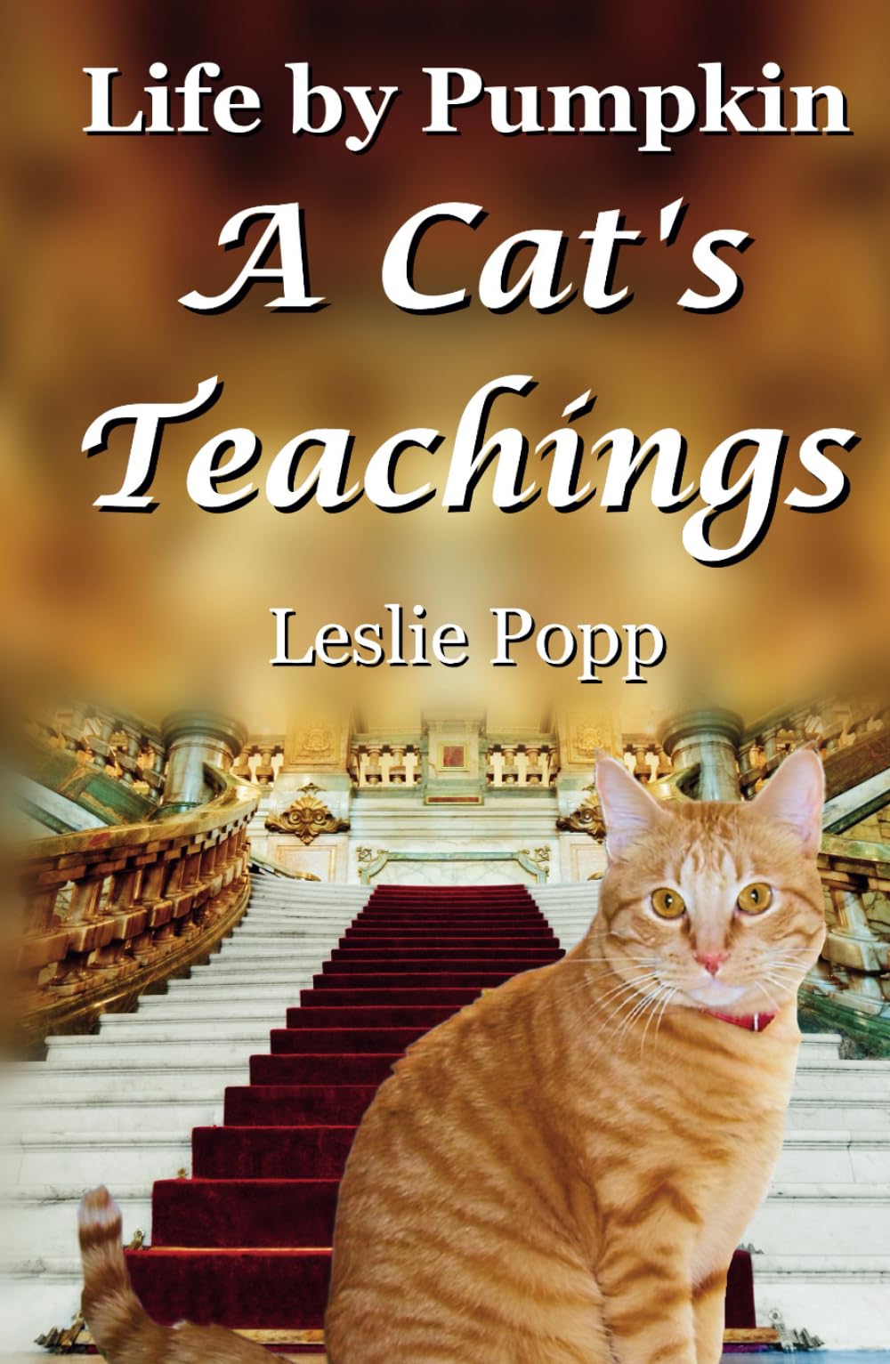 Life by Pumpkin: A Cat's Teachings
