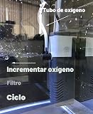 Ver la foto 5
