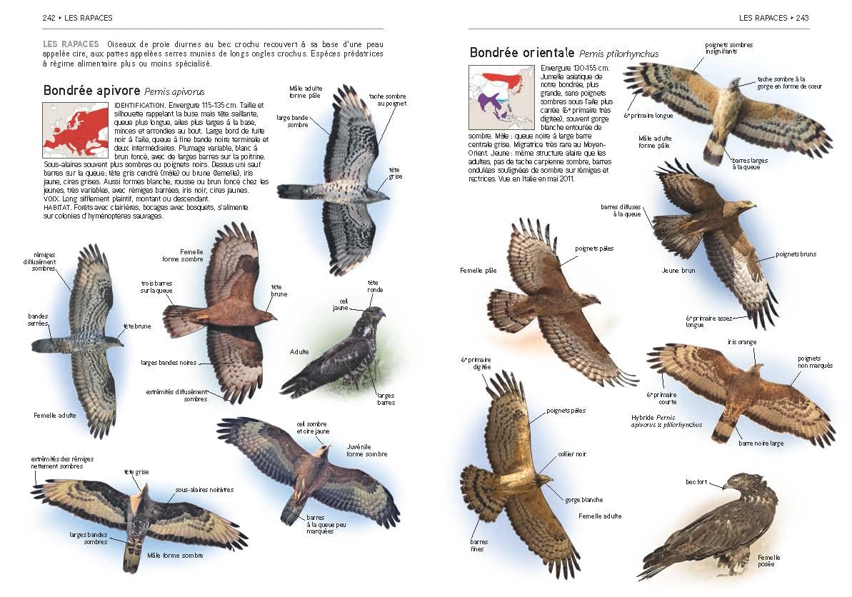 Tous les oiseaux d'Europe