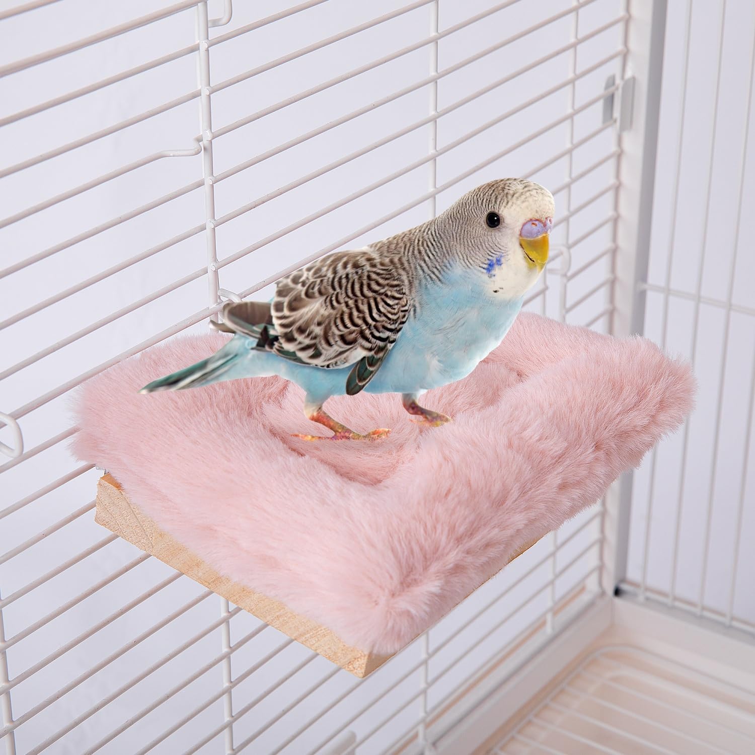 Amazon | koundeneko 鳥 止まり木 ステージ 2点セット 円形 長方形