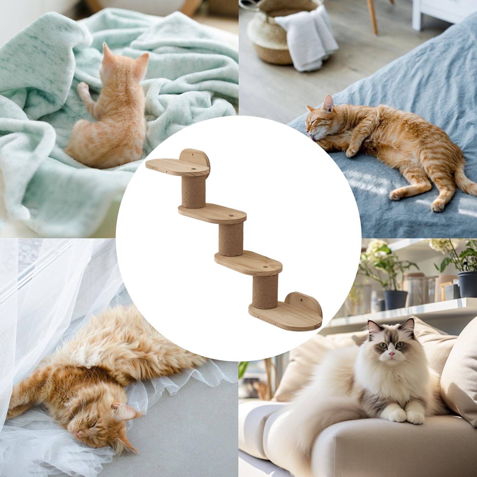 Katzen Wandregale Katzen Kletterregale