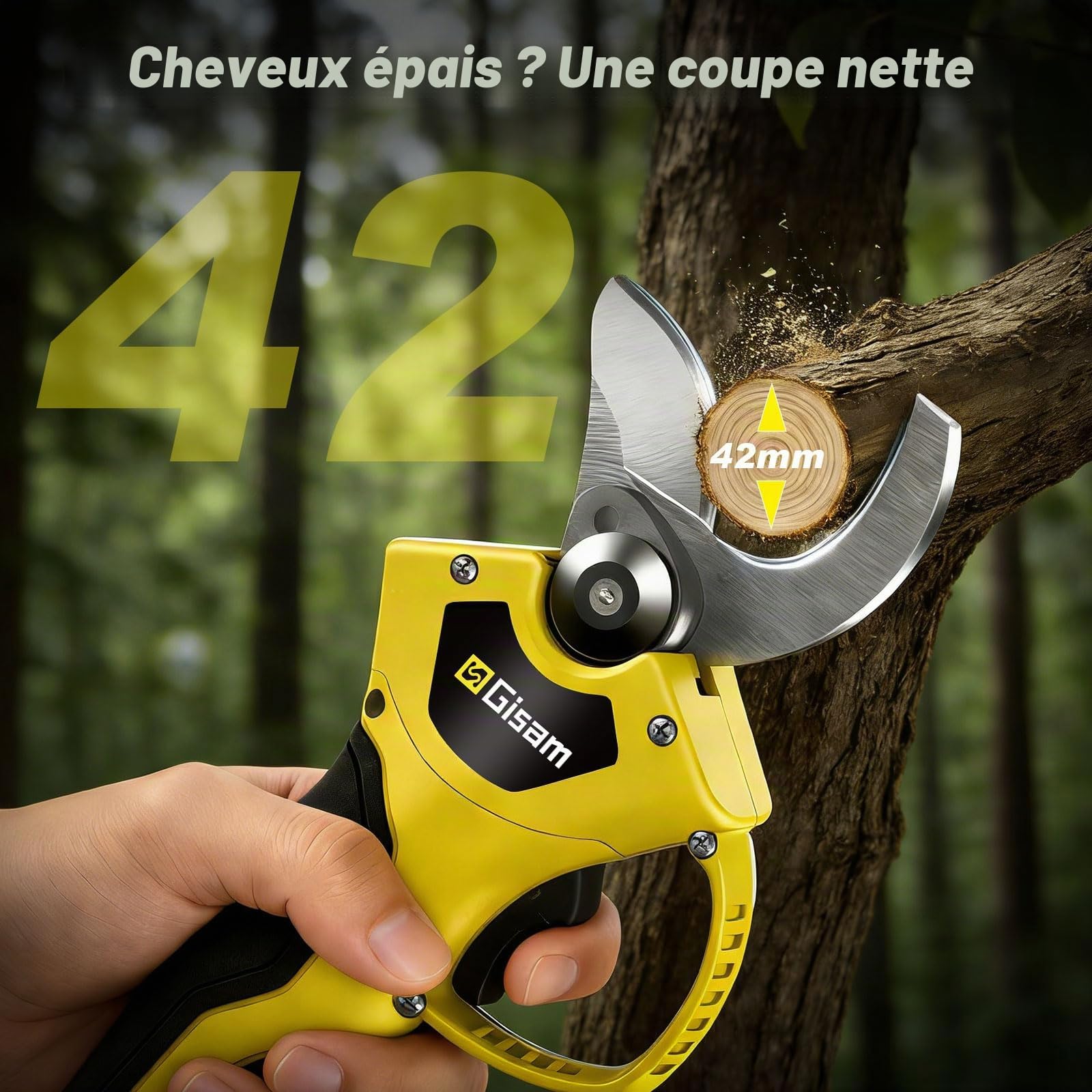 8 Pouces Mini Tronconneuse avec Perche & Secateur Electrique, 4-en-1 Ensemble d’Outils de Jardin avec 2 * 4000 mAh Batteries, Moteur Brushless, Portée Maximale Jusqu’à 4,2 m pour Jardinage/Arbres