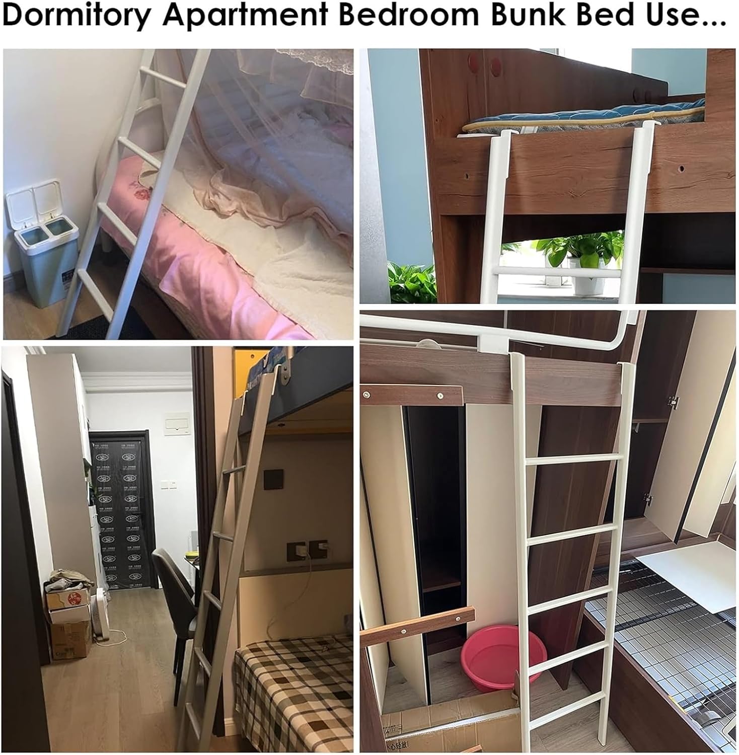 井上司「早春の赤城山」油彩 P6号 井上司「早春の赤城山」油彩 P6号 真