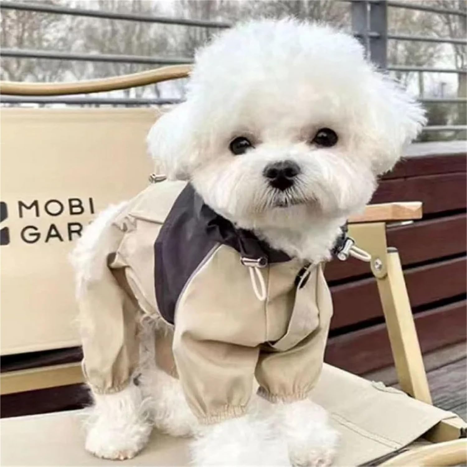 Pet Waterproof Raincoat Four-Legged Work Jacket Patchwork Windproof Cat Dog Coats Jackets Keep Warm Jumpsuit Coats Accessories(Yellow,Small)