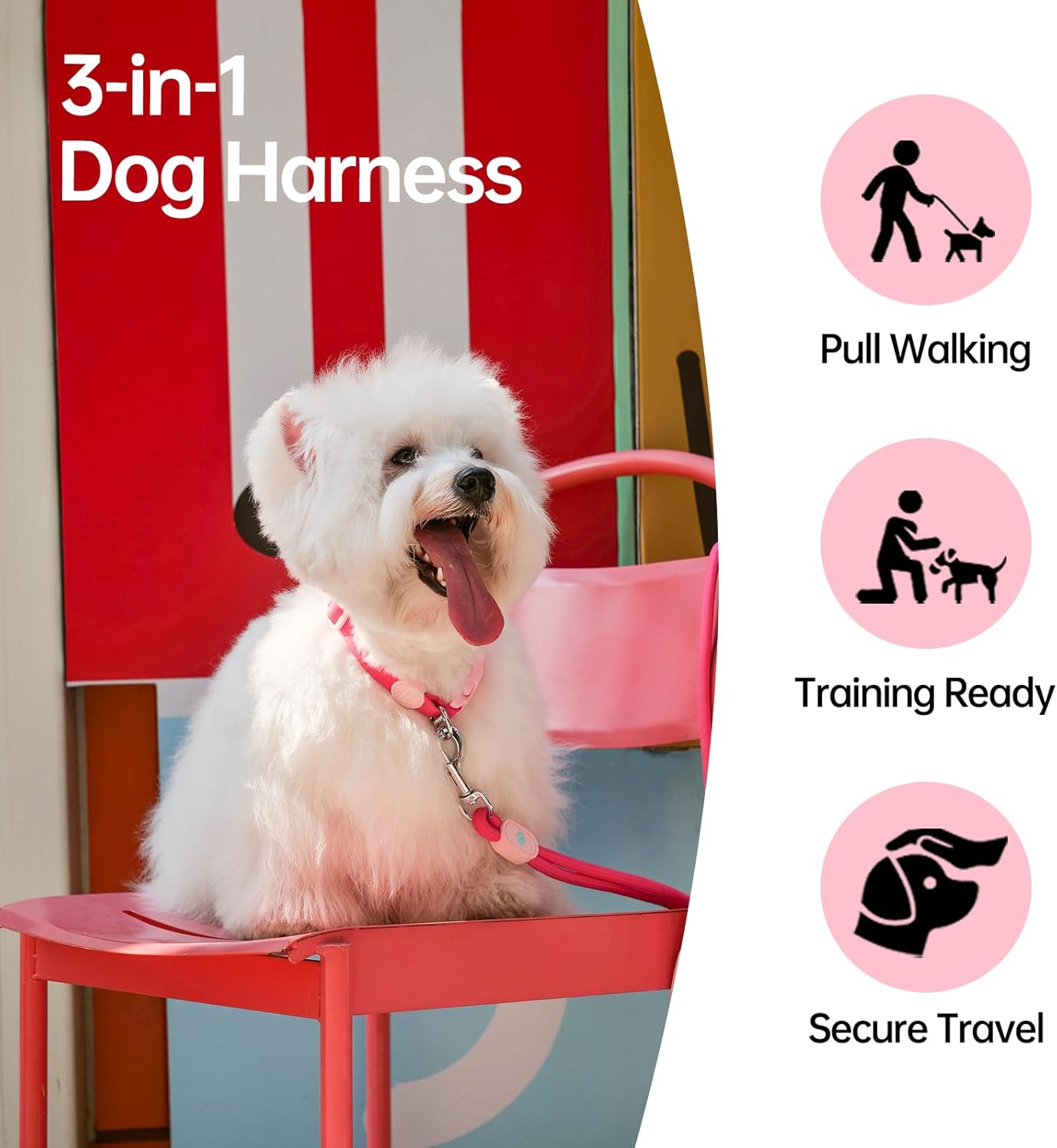 Touchdog Sugar Series Y-Shape Dog Harness and Leash Set, Adjustable No-Pull Step in Dog Harness for Small Medium Dogs, Lightweight Nylon Pet Harness for Walking Training Travel (Red, S)