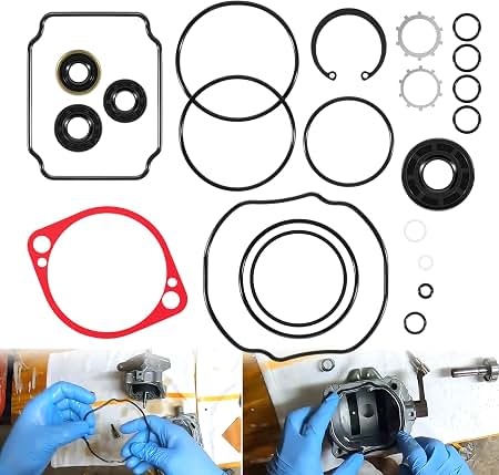 Amazon.com: Exmark 105-6184 Seal Kit | Fits Lazer Viking Navigator