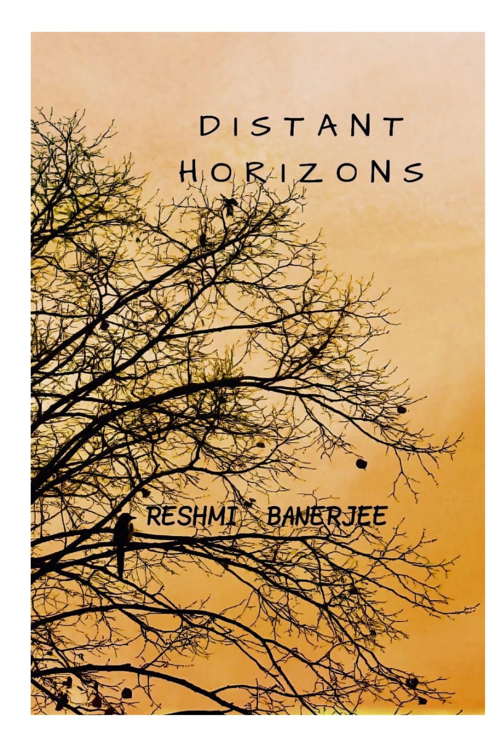 Distant Horizons