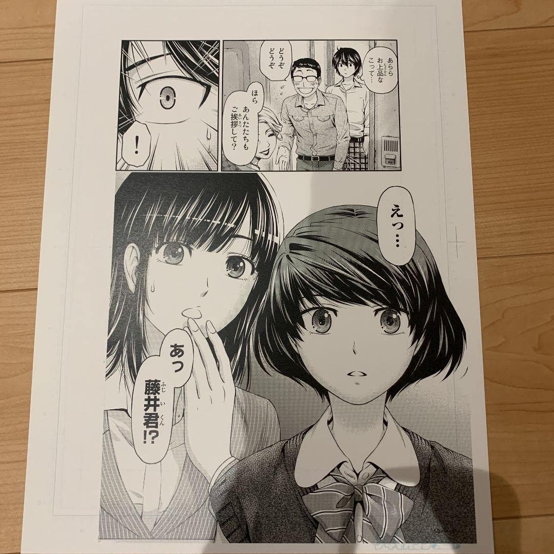 Amazon.co.jp: ドメスティックな彼女 複製原画 : おもちゃ