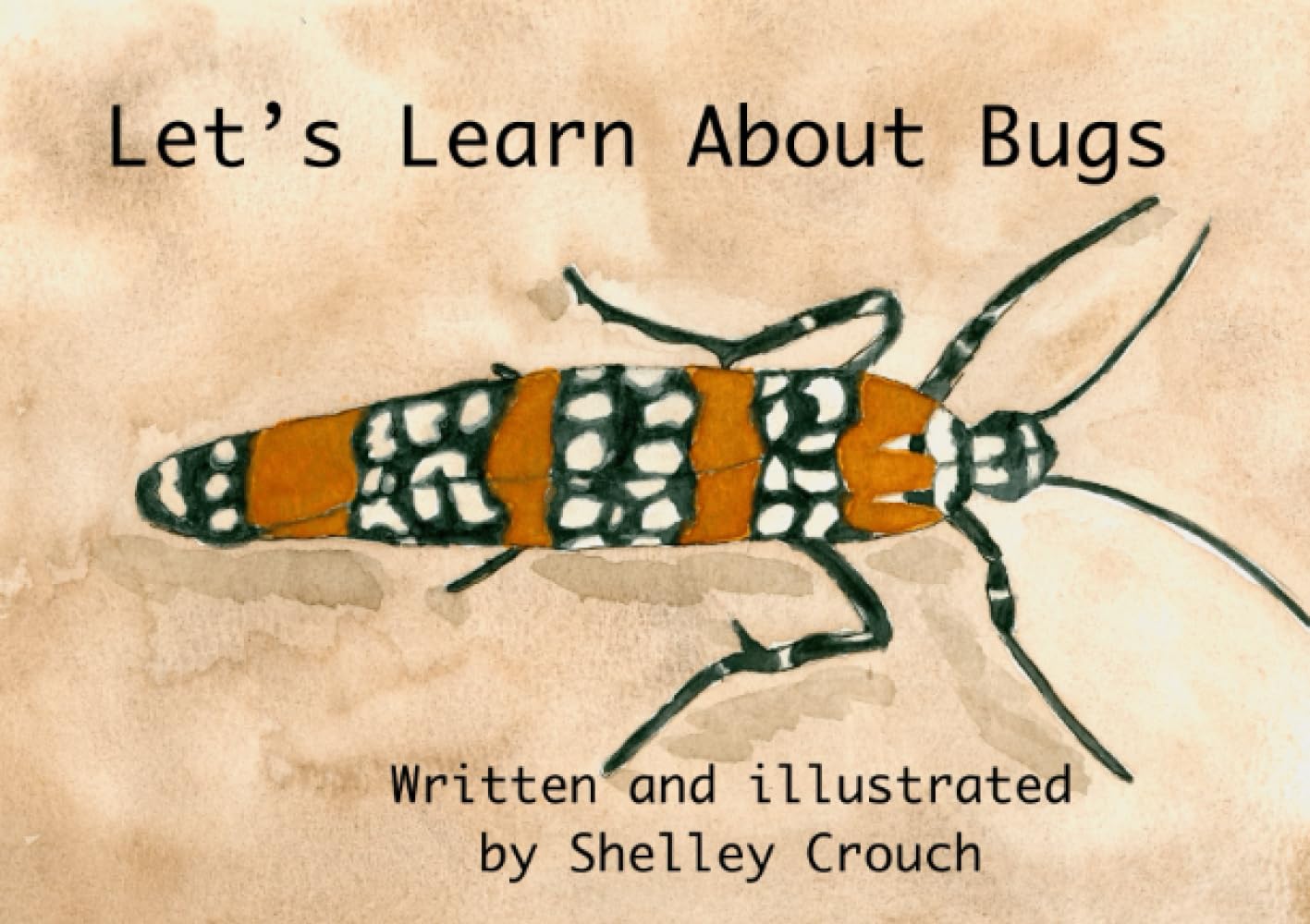 Let's Learn About Bugs (Exploring Nature Through Art)