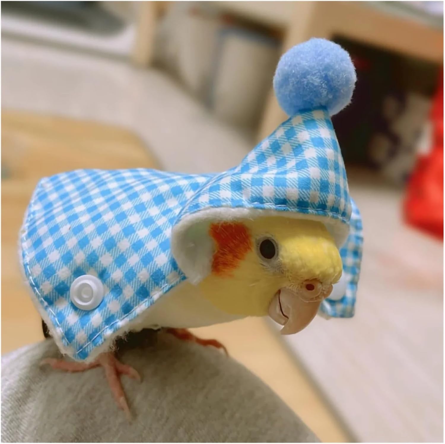 Bird Diaper, Cute Parrot Cloak Bird Clothes Thick Warm Outerwear,for Bird(Blue,Small)