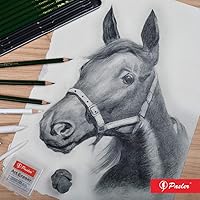 Vista 5 de Pasler Lápices de dibujo profesionales para bocetos gráficos, 12 unidades (2B)