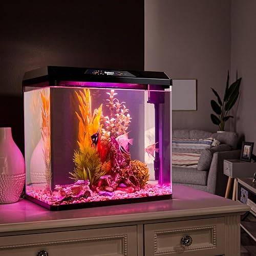 Miniatura 7 de JumblPets - Kit de acuario de peces de iniciación, 4 galones, juego completo de tanques de peces de vidrio para principiantes con iluminación LED,