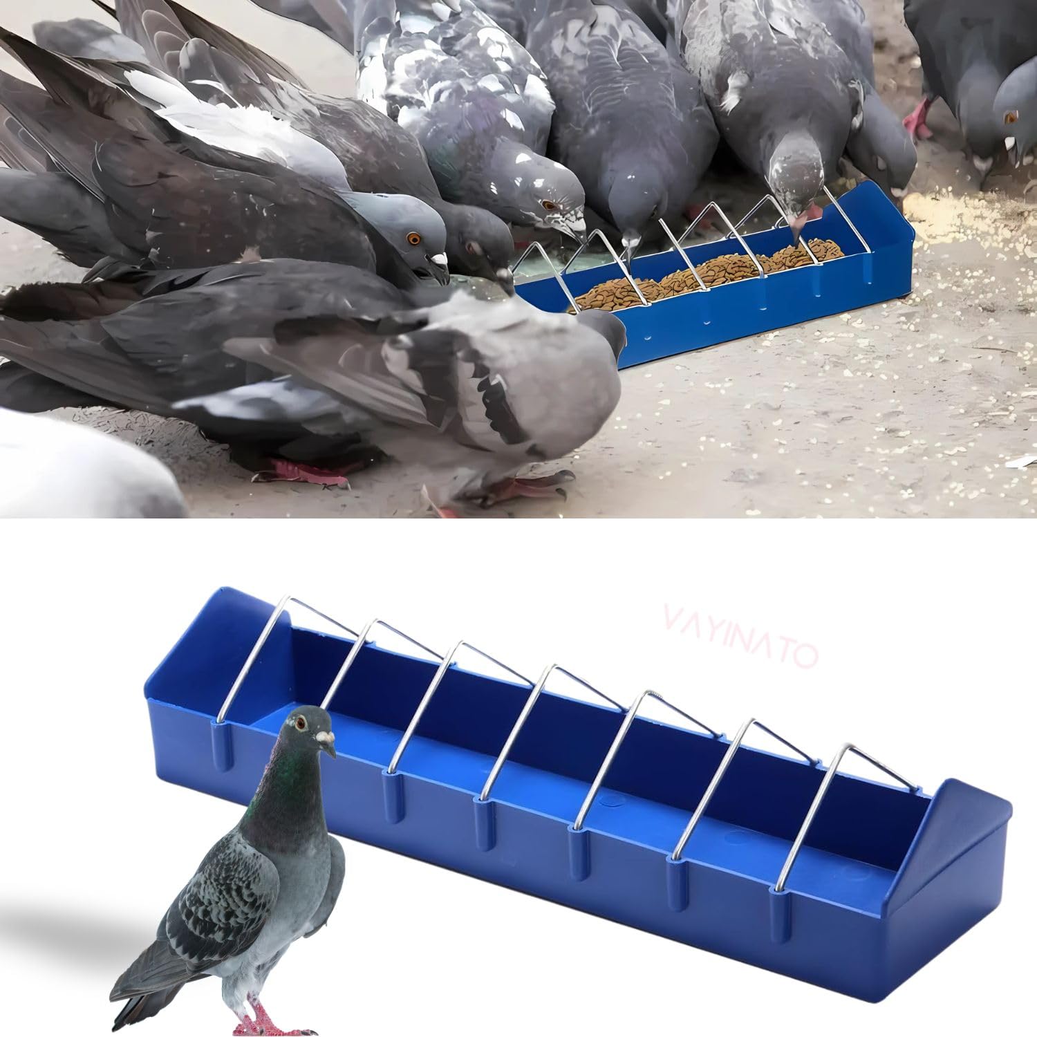 VAYINATO Plastic Poultry Food Tray for Pigeon, Chicken and Pets Garden Outdoor Use Ground Bird Feeder (Blue),40 cm,H_5 cm,W_8 cm
