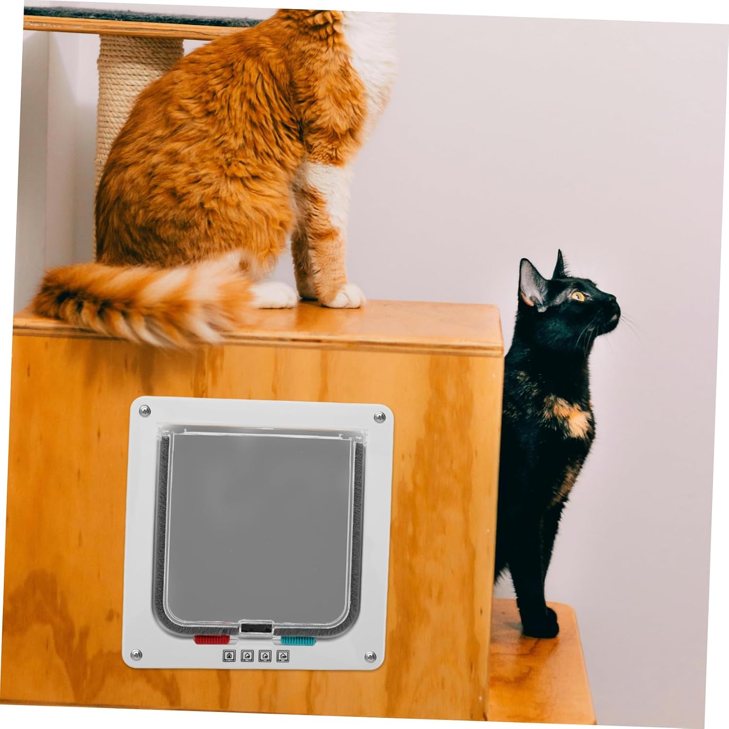 Toddmomy Small Locking Cat Door for Interior Doors with Frame White 20x19x2cm Suitable for Cats and Small Dogs