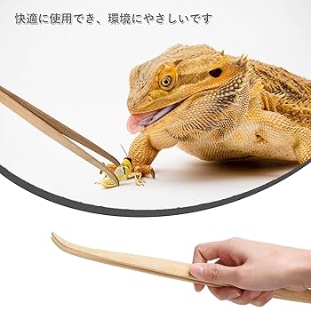 Amazon | 爬虫類ピンセット 給餌ピンセット 2本セット 蛍光