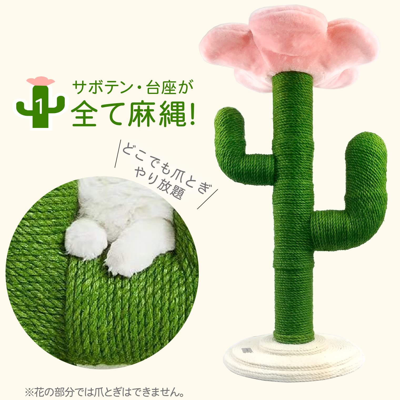 9−あいぐん商品　サボテン 楽天市場】【観葉植物】サボテン ガラス鉢 ニトリ 【メーカー