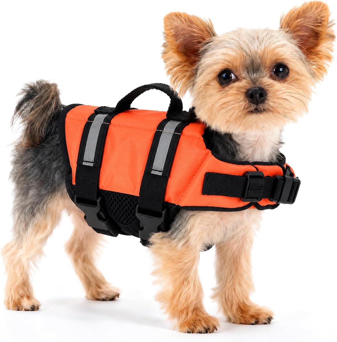 Teacup Dog Life Jacket, XXS Dog Life Jacket, Patterned Surface Elastic Adjustment Puppy Life Jackets for Small Dogs with Safety Pom Buckle, Small Dog & Cat Life Jackets 3-9 Lbs (Orange, XXS)