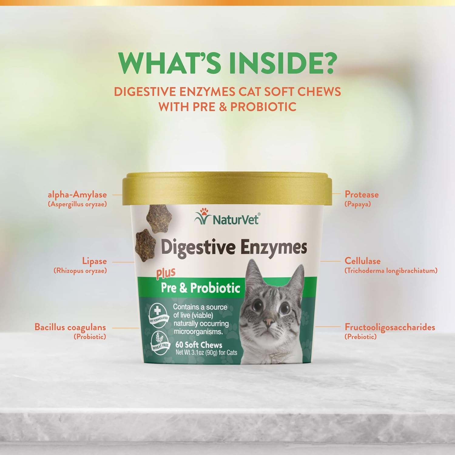 NaturVet – Digestive Enzymes For Cats Plus Probiotics – 60 Soft Chews – Helps Support Diet Change & A Healthy Digestive Tract – Aids in the Absorption of Vitamins & Minerals – 30 Day Supply : Pet Supplies
