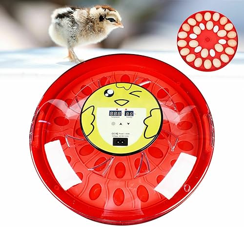 Miniatura 2 de Incubadora de huevos transparentes, máquina para incubadora de aves de corral con control de temperatura y girador automático de huevos, incubadora
