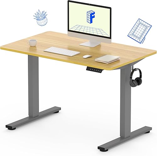FLEXISPOT Escritorio ajustable de 40 x 24 pulgadas, estación de trabajo, escritorio eléctrico de altura ajustable con tablero de empalme (marco gris