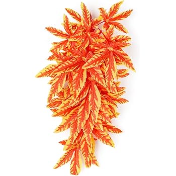 reptile enclosure accessories