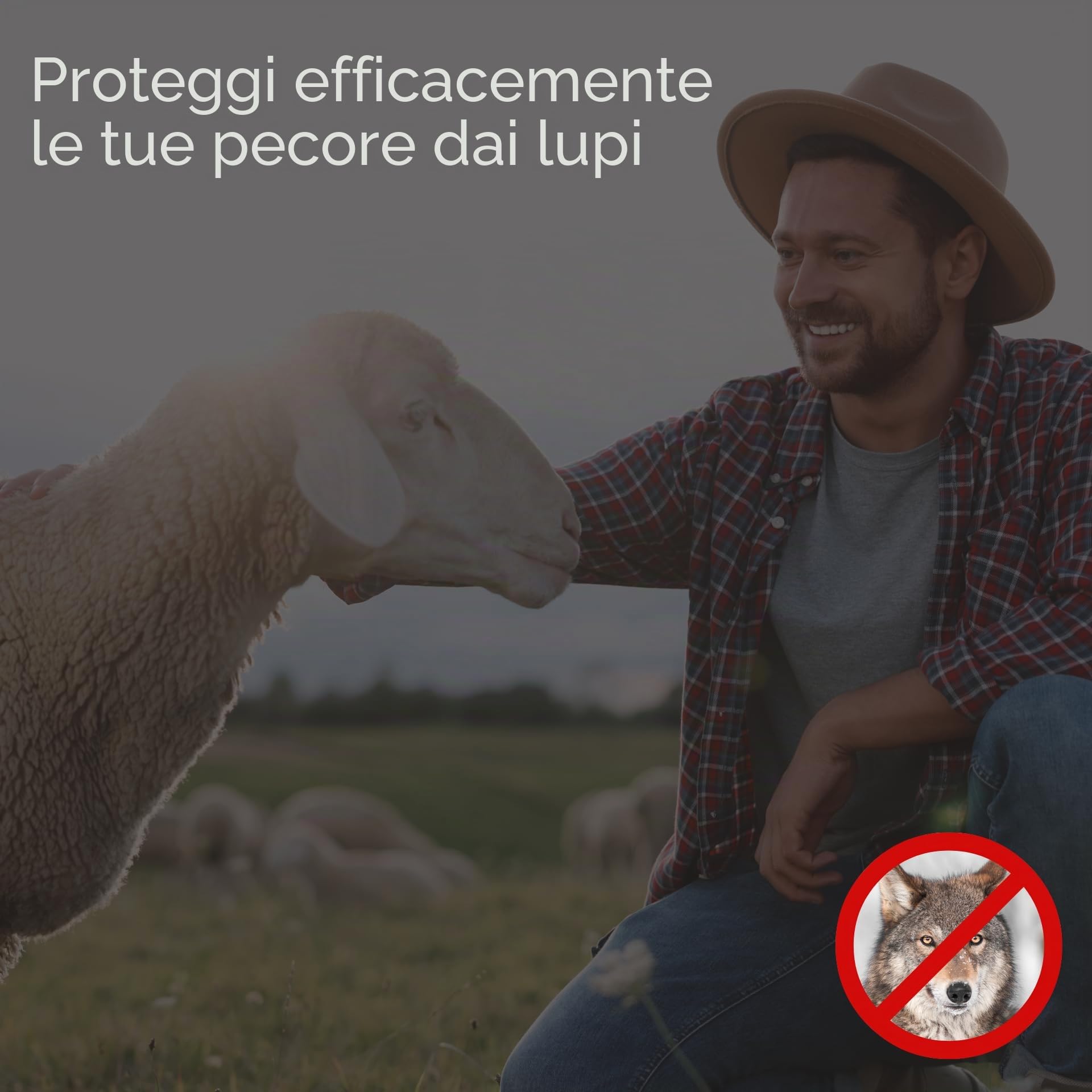 Agrarzone Rete per pecore elettrificabile Classic 50 m x 108 cm - Robusta e sicura con doppia punta - Ideale per pecore, capre, agnelli e pollame - Include pali e accessori